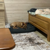 https://cdn.worldota.net/t/100x100/hotel_review/31/c1/31c13c2177dc9c3741b0379e460aa45522d72a81.JPEG