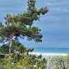https://cdn.worldota.net/t/100x100/hotel_review/32/02/3202975f93f4655e89b9becf4e17f1d000a31bbb.JPEG