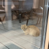 https://cdn.worldota.net/t/{size}/hotel_review/32/37/3237f9cb663754a4cec522c3ba5dfeb6c4c0d180.JPEG