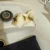 https://cdn.worldota.net/t/100x100/hotel_review/32/56/325678b96acfded09141f3a0bdce0aa0d09fa624.JPEG