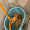https://cdn.worldota.net/t/100x100/hotel_review/32/db/32dbea913f4343170ad5a9aeef9908f16fb7a860.jpeg