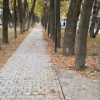 https://cdn.worldota.net/t/100x100/hotel_review/34/d5/34d540871fc2cd911e247e6ca148c8607365b4dd.JPEG