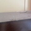 https://cdn.worldota.net/t/{size}/hotel_review/34/df/34df52e0011a0bd2a217c2cb5403fd3e3808ef7b.JPEG