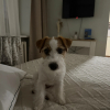 https://cdn.worldota.net/t/{size}/hotel_review/35/7c/357c839dd6d3b72b71ffd8feed112061d4804c46.JPEG