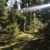 https://cdn.worldota.net/t/100x100/hotel_review/35/f3/35f3eefb6ac9f395367139da8c189bb47cdcfbed.jpeg