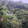 https://cdn.worldota.net/t/100x100/hotel_review/36/43/3643c24a61695711ce2b4a79709b3096d179b3a6.JPEG