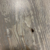 https://cdn.worldota.net/t/{size}/hotel_review/36/6e/366e9342ec617709834bd9defc466a2a91c53148.jpeg
