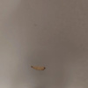 https://cdn.worldota.net/t/100x100/hotel_review/36/7b/367b6cbc476be22c36b3528eabc34b7cec25a9c3.JPEG