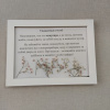 https://cdn.worldota.net/t/100x100/hotel_review/37/d1/37d1f755e2b502e9ae9373c25312144ebb0de8d8.JPEG