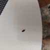 https://cdn.worldota.net/t/100x100/hotel_review/37/f3/37f3837673d4a44ce2ca9d6d259f06bca21bd29a.JPEG