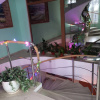 https://cdn.worldota.net/t/{size}/hotel_review/38/b5/38b536f01de414d6704b58851b9403ff7be9f377.JPEG