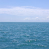 https://cdn.worldota.net/t/100x100/hotel_review/39/6f/396f6e514c738d12e52d00e501dd21c734ec1a09.JPEG