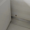 https://cdn.worldota.net/t/100x100/hotel_review/3a/f6/3af6fdbffc231a5d781d2d092af00cf2de1a1060.JPEG