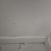 https://cdn.worldota.net/t/100x100/hotel_review/3b/02/3b02b95cc72533e1a61fc02ab01d99641405f7ac.JPEG