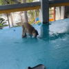 https://cdn.worldota.net/t/100x100/hotel_review/3b/04/3b043c25e6b6616938d788aebd242911518affd2.JPEG