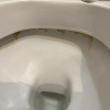 https://cdn.worldota.net/t/{size}/hotel_review/3b/24/3b24acf46fd8e2d52ecc53bf4c51239c83d0e195.JPEG