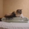 https://cdn.worldota.net/t/100x100/hotel_review/3b/82/3b82981077b9013d1fcdd6126d818dacb2b179c6.JPEG