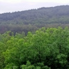 https://cdn.worldota.net/t/{size}/hotel_review/3c/2b/3c2b37df068fefe9a4ef4f3523dbe1390cb1f1fe.JPEG