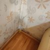 https://cdn.worldota.net/t/100x100/hotel_review/3c/8d/3c8d2f9876fcabae91bdc70c6663b62af3fb993e.jpeg