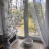 https://cdn.worldota.net/t/100x100/hotel_review/3c/b1/3cb149decfe3a017eb771492b8a15fdbb38903e4.JPEG