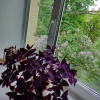 https://cdn.worldota.net/t/100x100/hotel_review/3d/27/3d2720cdeda79fd8928f3c221d69de9927332d2b.JPEG