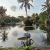 https://cdn.worldota.net/t/100x100/hotel_review/3d/38/3d38fd5901748239367294b7a33f43baf2abb890.JPEG