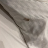 https://cdn.worldota.net/t/100x100/hotel_review/3e/1f/3e1fd53f5fb8a27aa5503008e87f8a5ad30b51f6.JPEG