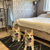 https://cdn.worldota.net/t/100x100/hotel_review/40/07/4007354f230da92f3478966731dde2212922cda0.JPEG