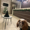https://cdn.worldota.net/t/{size}/hotel_review/40/18/4018f556ff20b1e24d161ee1548a386a20af7735.JPEG