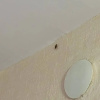 https://cdn.worldota.net/t/{size}/hotel_review/40/58/4058935a6a18d63f495ba52a59b5f83e8ec8073a.JPEG
