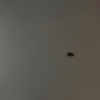 https://cdn.worldota.net/t/{size}/hotel_review/40/74/4074cf83789559a573ef31533b6882852b200082.JPEG