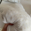 https://cdn.worldota.net/t/100x100/hotel_review/40/ce/40cea888071891f5aa2dff7d612cf0c60d469e9d.JPEG
