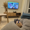 https://cdn.worldota.net/t/100x100/hotel_review/40/db/40db0996fd2feee6a7613015260cf0230bacc105.JPEG