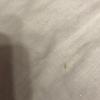 https://cdn.worldota.net/t/100x100/hotel_review/40/e8/40e8caa0f82d3dde6c1cc422d9df88a7d3a8a307.JPEG