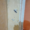https://cdn.worldota.net/t/100x100/hotel_review/41/41/41419756ebf2a1cd2b7d898428848177e0a0be36.jpeg