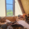https://cdn.worldota.net/t/100x100/hotel_review/41/8d/418d51077918babbf53daf415d2e323d8126f216.JPEG