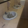https://cdn.worldota.net/t/{size}/hotel_review/42/06/42064a328063b5b8124555a421d4bd1d745de893.JPEG