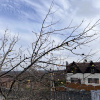 https://cdn.worldota.net/t/{size}/hotel_review/42/19/421933e023cdd03ad1c7d674c36a941dffd8f34f.JPEG
