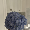 https://cdn.worldota.net/t/100x100/hotel_review/42/bc/42bcb6925721728fc644977b4654df4837920d8a.JPEG