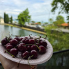 https://cdn.worldota.net/t/100x100/hotel_review/42/d5/42d57bbb5ff2683d4ae5dfc73c1066993674760f.JPEG