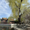 https://cdn.worldota.net/t/100x100/hotel_review/43/33/4333bc58436beaad35f4463987a437cfeb051097.JPEG