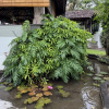 https://cdn.worldota.net/t/100x100/hotel_review/43/57/435739a9560d58abed425dedcf772a3e41658bc7.JPEG