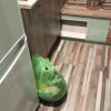 https://cdn.worldota.net/t/100x100/hotel_review/43/74/437406b8f9e5ff41bfc85addd5474813c0590457.JPEG