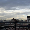 https://cdn.worldota.net/t/{size}/hotel_review/44/90/4490e03fb5d64b2b22c486d1deb97fe11cbb6854.JPEG