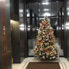 https://cdn.worldota.net/t/100x100/hotel_review/45/a7/45a7b63db57831f60d392323dc395dbdfa41383e.JPEG