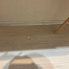 https://cdn.worldota.net/t/100x100/hotel_review/45/d7/45d77322dabec5d17915c8ef7162b216bed3a11c.JPEG