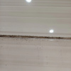 https://cdn.worldota.net/t/100x100/hotel_review/45/e6/45e651437a02e739f88446c050bcb2f430bb3ee4.JPEG
