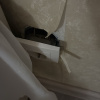 https://cdn.worldota.net/t/100x100/hotel_review/45/ec/45ec3c08e4e3c9a05bb1f619a37e4be38687cc28.JPEG
