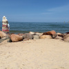 https://cdn.worldota.net/t/100x100/hotel_review/46/02/46026ff9194fe8b8e6d1ce2b68e4a41fc70bc1b7.JPEG