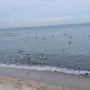 https://cdn.worldota.net/t/100x100/hotel_review/47/b9/47b9c8b132ee5a9f9f6fee5aafc16f4a6b240a4a.JPEG